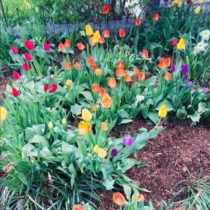 Meet your Posher, Randhir